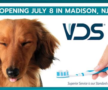Veterinary Dentistry Specialists
