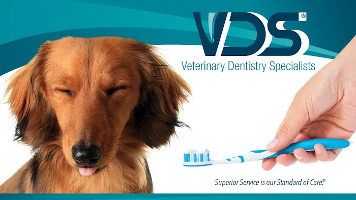 Veterinary Dentistry Specialists 2