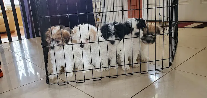 Banfield Pet Hospital 12