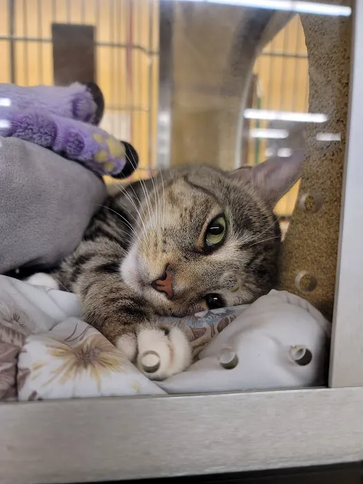 Banfield Pet Hospital 12