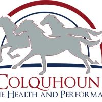 Sand Spring Equine Practice ico