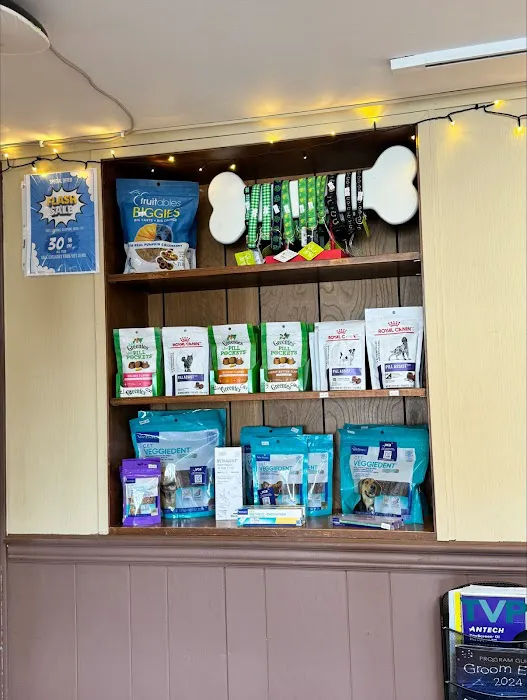 Madison Animal Hospital 6