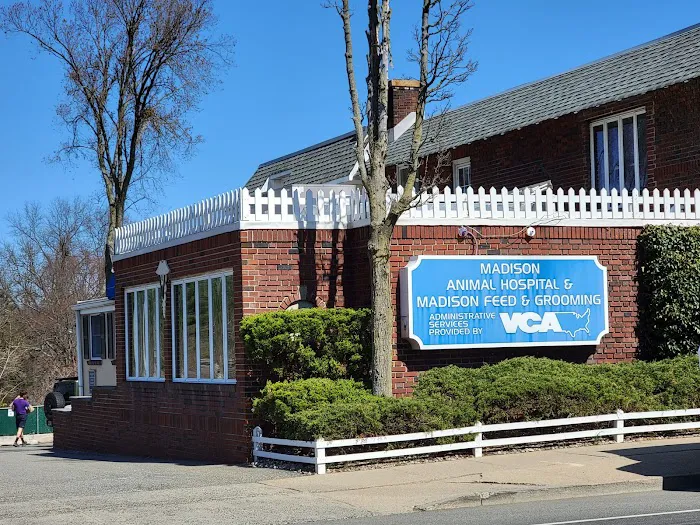 Madison Animal Hospital 3