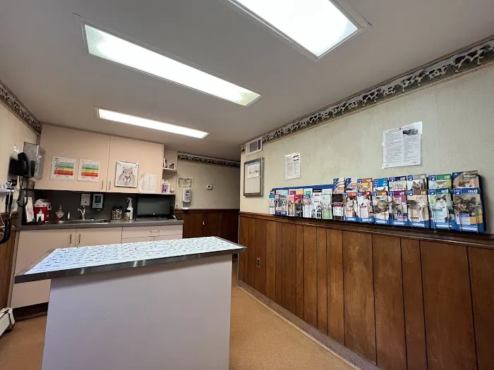 Madison Animal Hospital 2