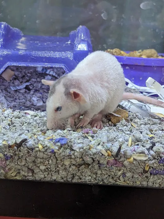 Marsh Hospital For Animals 1