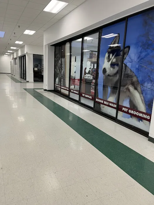 Mondo's PET DEPOT 9