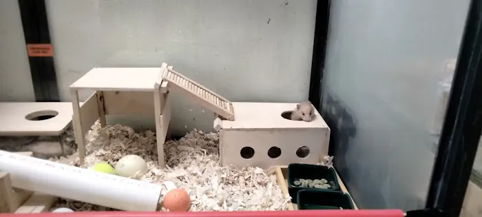 Mondo's PET DEPOT 3