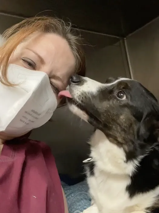 Katz & Dogs Animal Hospital 3