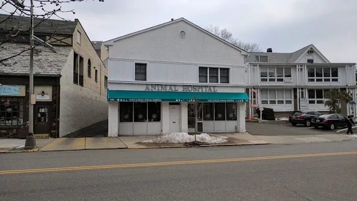 Katz & Dogs Animal Hospital 1