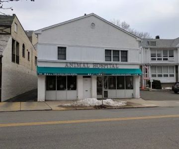 Katz & Dogs Animal Hospital