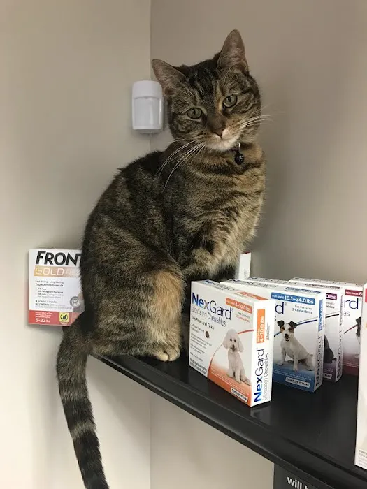 Clifton Ave Animal Hospital 3