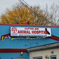 Clifton Ave Animal Hospital ico