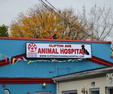 Clifton Ave Animal Hospital