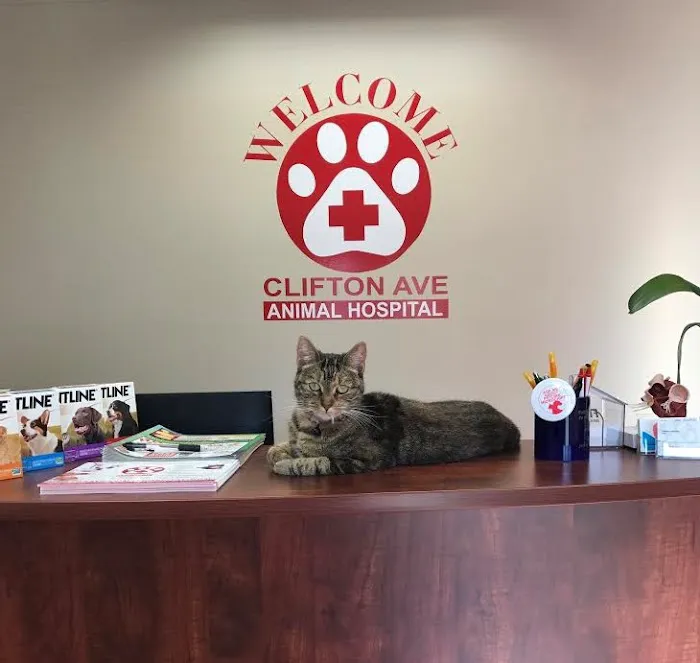 Clifton Ave Animal Hospital 5