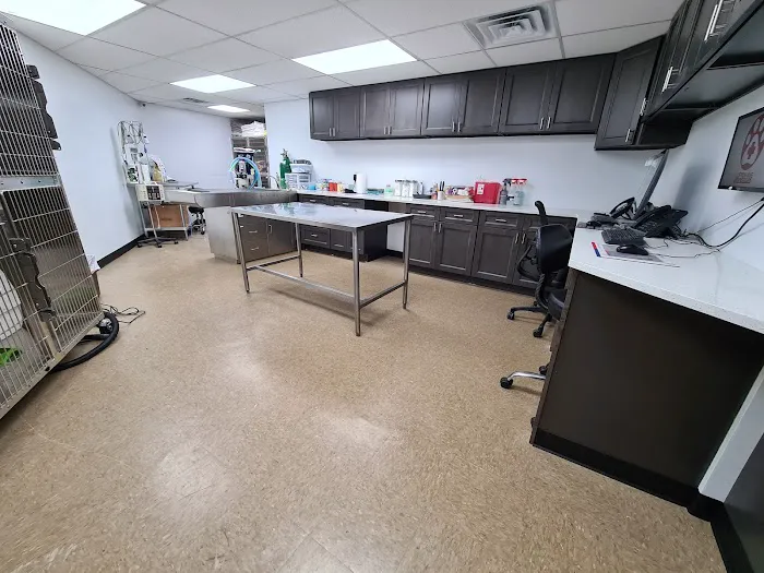 Clifton Ave Animal Hospital 8
