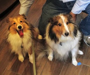 Veterinary Healthcare Center Of Clifton Inc