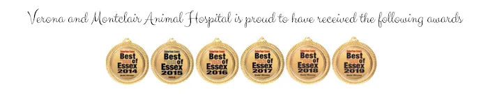 Montclair Animal Hospital 5