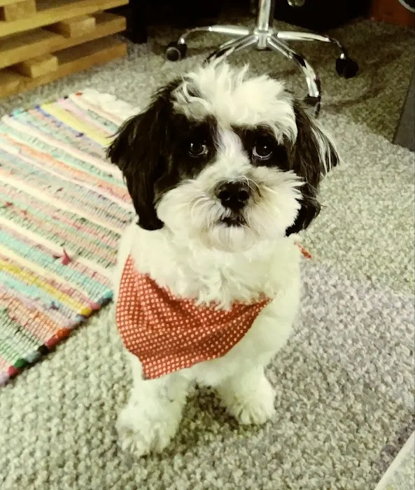 Well Pet Animal Hospital 9