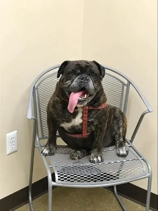 Prospect Ridge Veterinary 9