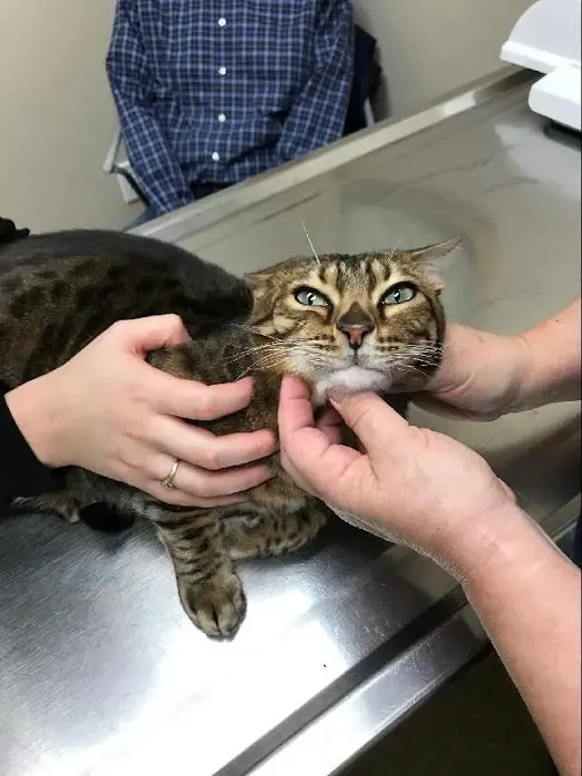 Prospect Ridge Veterinary 5