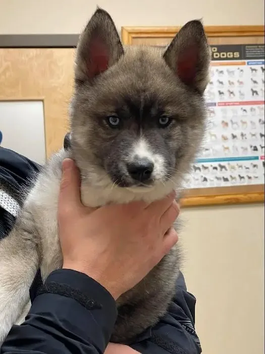 Prospect Ridge Veterinary 6