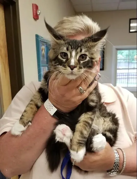 Prospect Ridge Veterinary 3