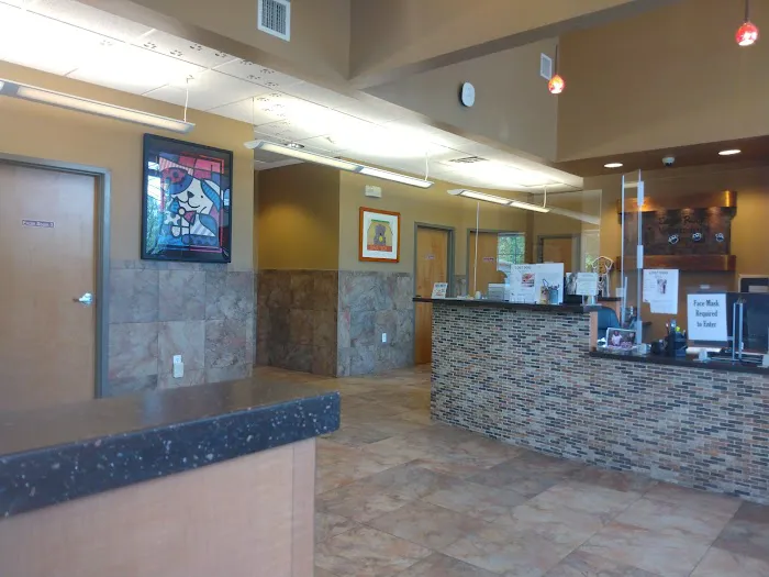 VCA Eagle Rock Animal Hospital 7