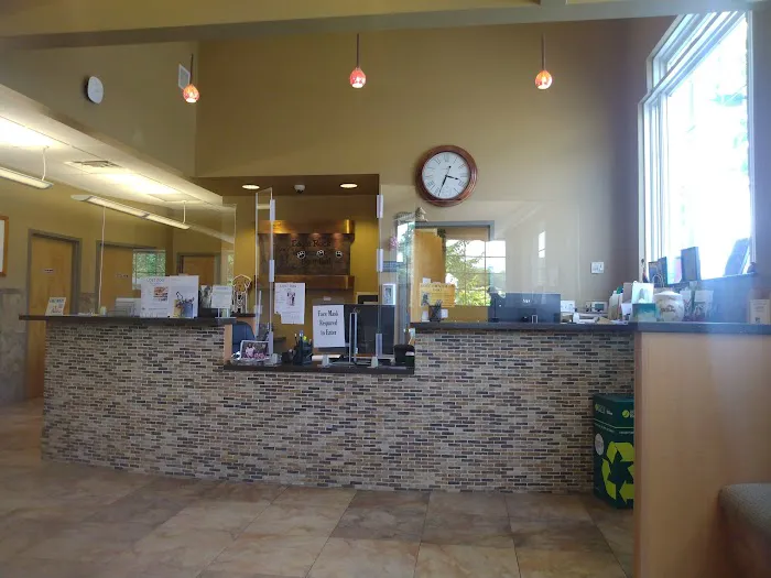 VCA Eagle Rock Animal Hospital 4