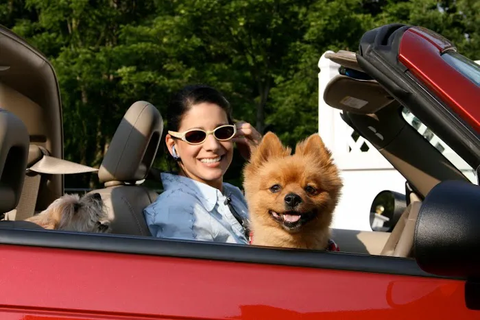 Allendale Veterinary Hospital 6
