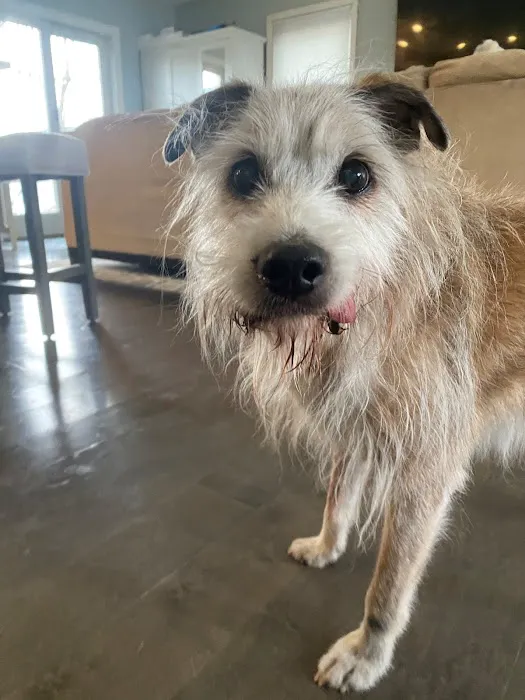 Bergen County Veterinary Center 3