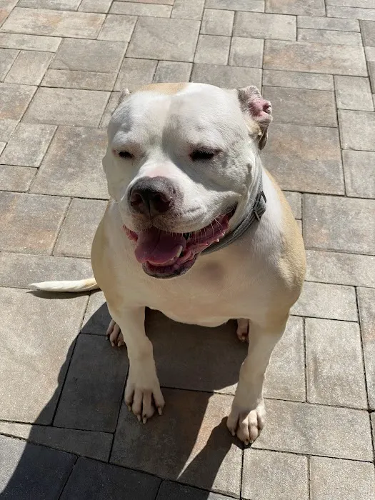 Bergen County Veterinary Center 9