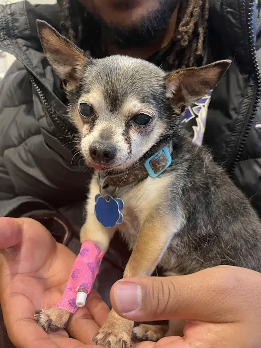 Bergen County Veterinary Center 6