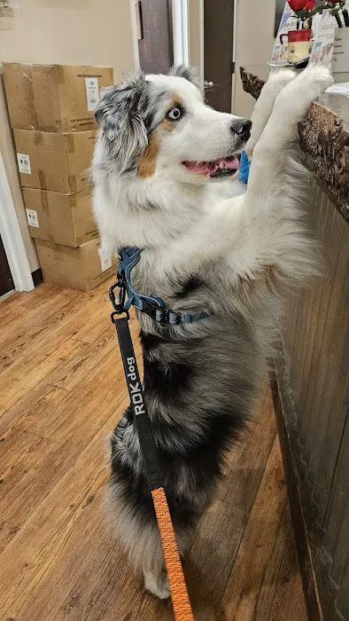 Bergen County Veterinary Center 8