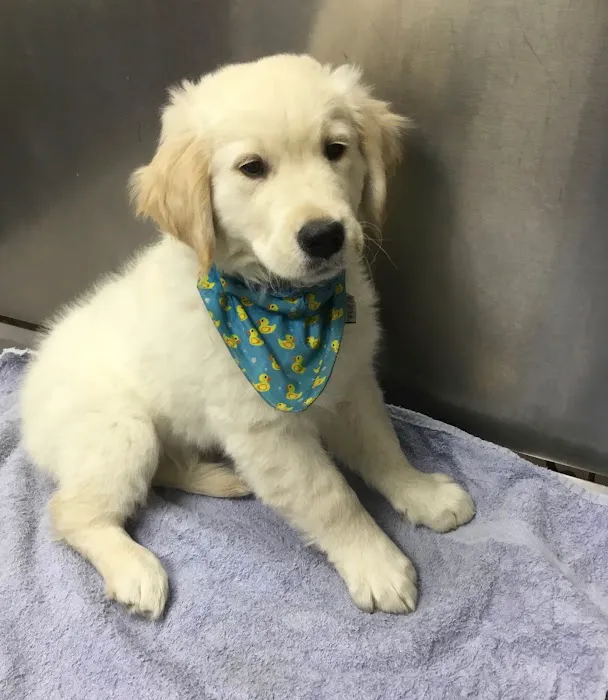 Ramsey Animal Clinic 3