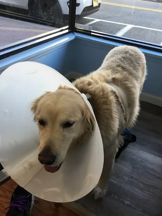 Ramsey Animal Clinic 5