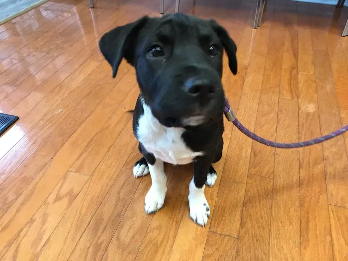 Ramsey Animal Clinic 9