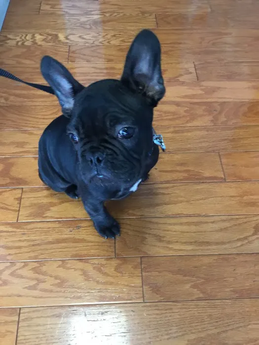 Ramsey Animal Clinic 8