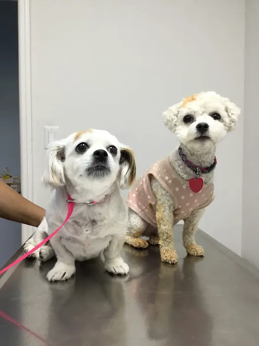 Ramsey Animal Clinic 4