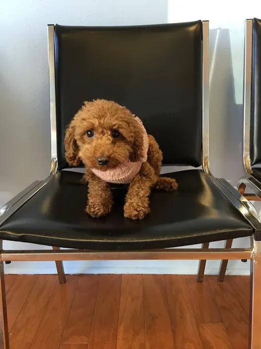 Ramsey Animal Clinic 6