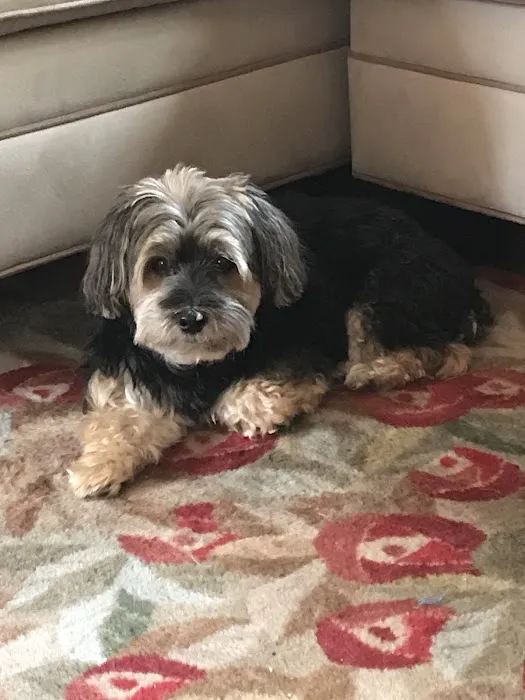 Franklin Turnpike Veterinary Hospital 1