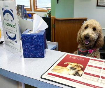 Skylands Primary Pet Care