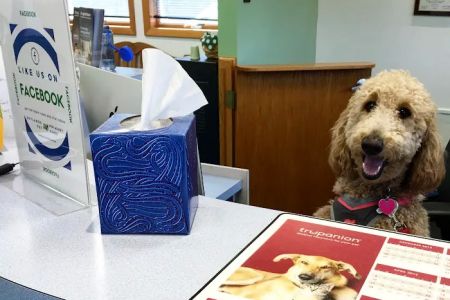 Skylands Primary Pet Care