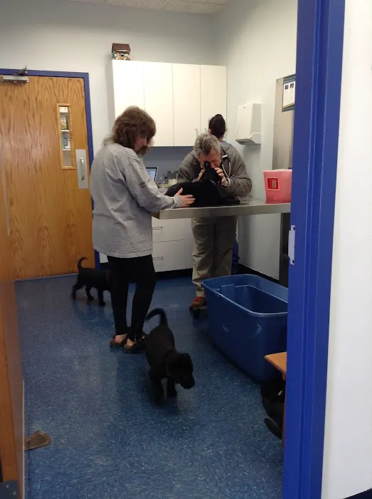 Skylands Primary Pet Care 12