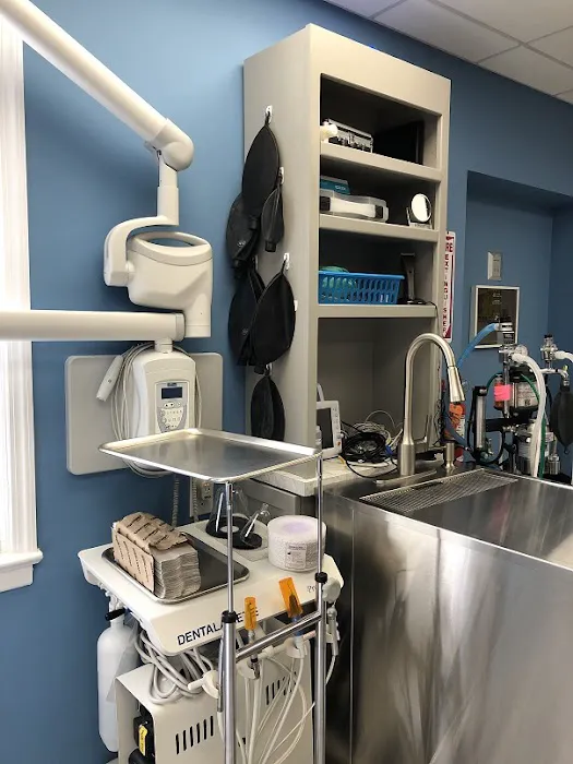Loving Care Veterinary Hospital 12