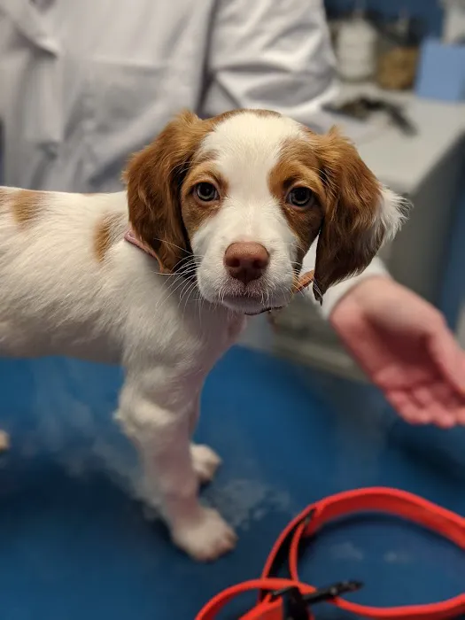 Loving Care Veterinary Hospital 12