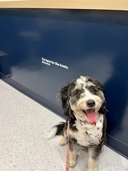 Bond Vet - Montclair 12