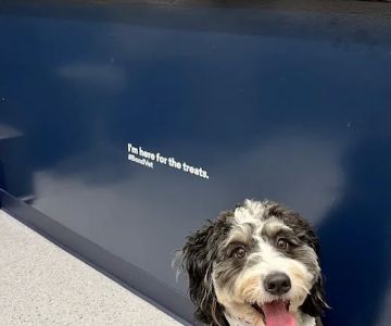 Bond Vet - Montclair