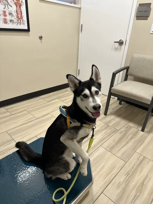 Montclair Veterinary Associates 12