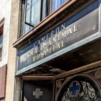 Cameron Animal Hospital ico
