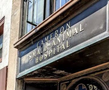 Cameron Animal Hospital